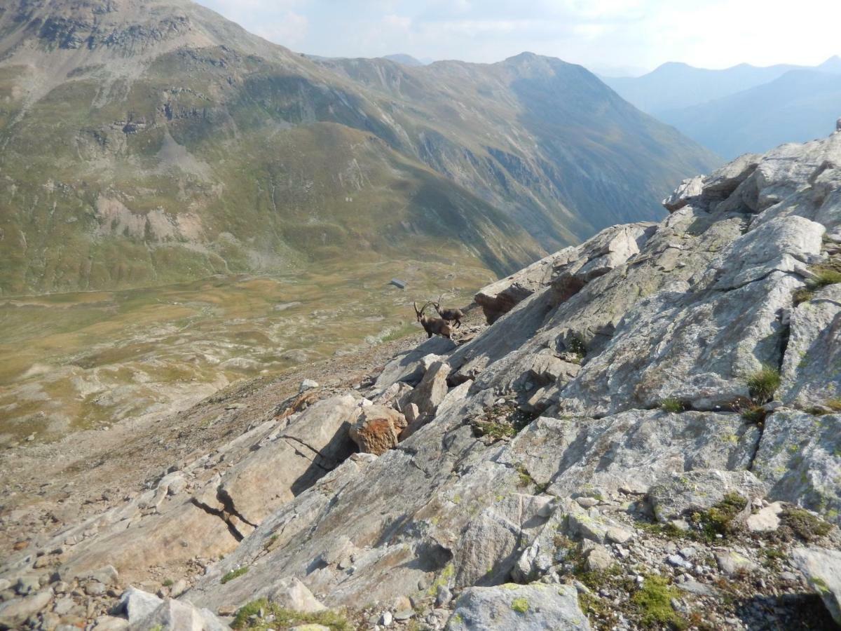 Mountain Chalet Milly Livigno Buitenkant foto